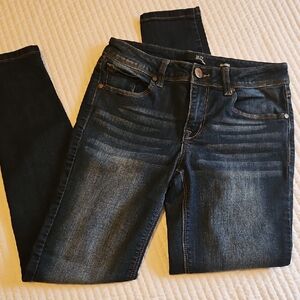 1822 Denim Dark Wash Skinny Jeans